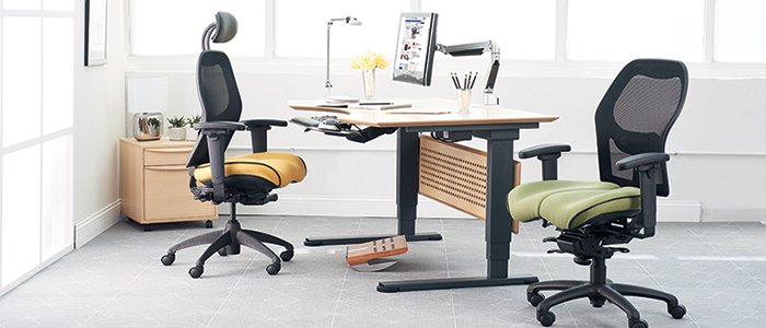 The Myth of the “Ergonomic Workplace”